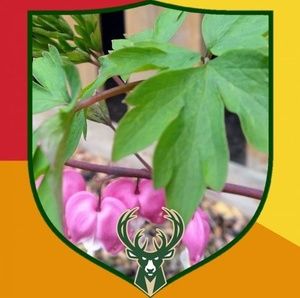 Meet your Posher, Marion